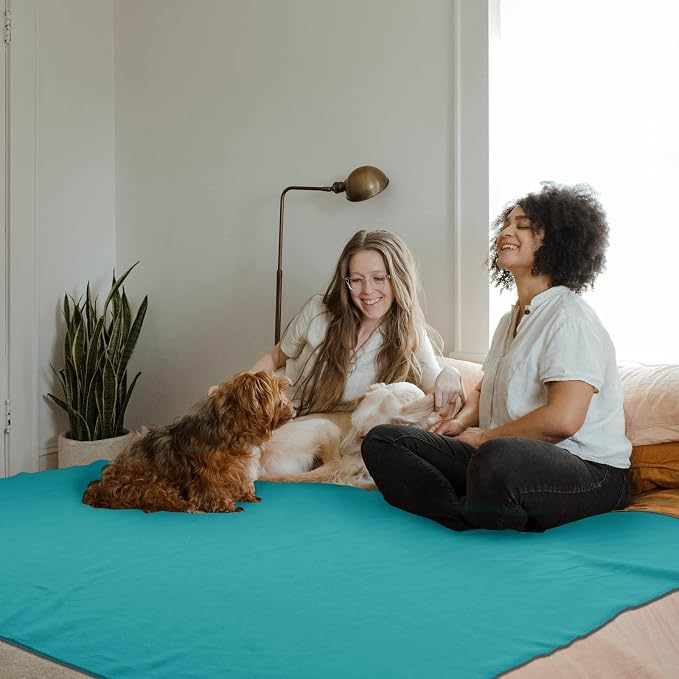 Fleece Throw Blankets Bulk Fleece Blankets Solid Wholesale Lightweight Warm Soft for Pet Bed Sofa Couch Office Wedding Gifts Travel Seasons (Assorted #8,Pack of 6-50x60 Inches)
