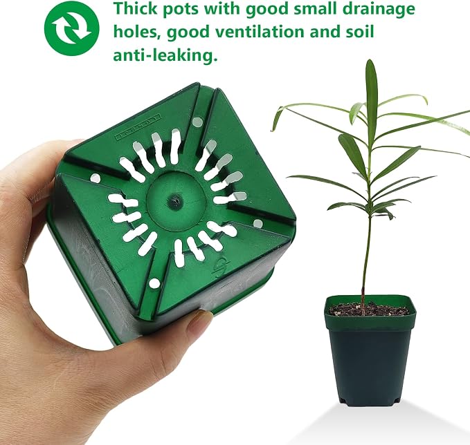 RooTrimmer Square Nursery Seedling Pot 3.5 Inches 90 Pcs, Small Nursery Pot Plastic Thick and Sturdy Seed Start Germination Pot for Plant Propagation and Seeding(Green,3.54 Inches, 90Pcs)