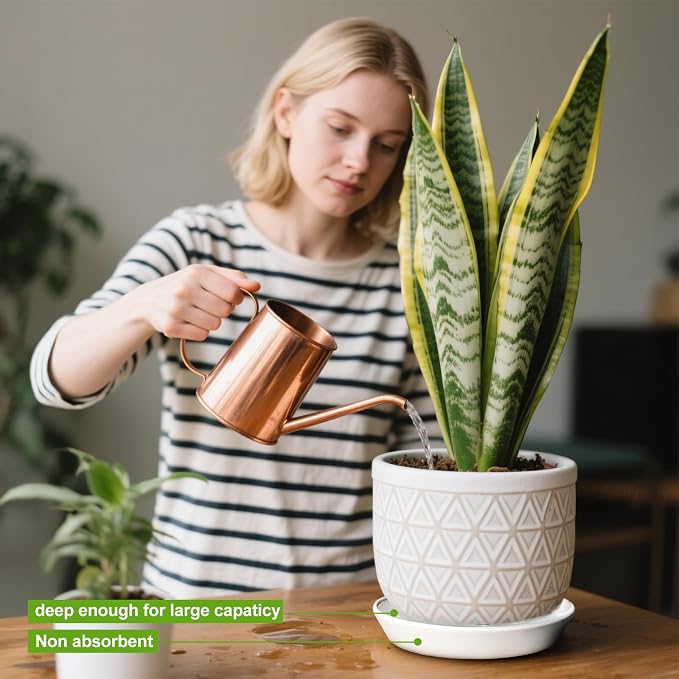 Ceramic Plant Saucer Tray 10 11 12 Inch White, 11.3" OD x9.7 ID x1.8 Deep| Round Sturdy Heavy Duty Glazed Bevel Planter Drip Flower pots with Catch Basin for Indoor Outdoor Plants
