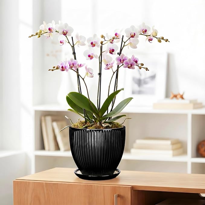 8 Inch Plant Pot, Ceramic Planter with Drainage Hole and Saucer, Modern Planters for Indoor Plants, Indoor Planter, Decorative Round Flower Pot, Apartment Decor, Plant Lover Gifts, Black