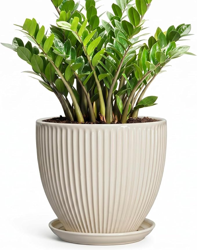 Ceramic Plant Pots, 10 Inch Pots for Plants with Drainage Hole and Saucer, Round Flower Pot for Indoor Plants, Decorative Indoor Planter, House Porch Decor, House Warming Gifts, Cream White