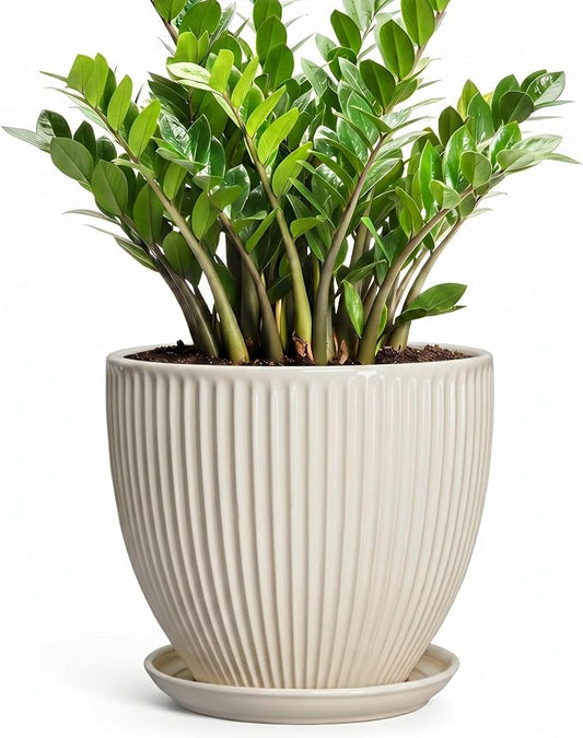 Ceramic Plant Pots, 10 Inch Pots for Plants with Drainage Hole and Saucer, Round Flower Pot for Indoor Plants, Decorative Indoor Planter, House Porch Decor, House Warming Gifts, Cream White