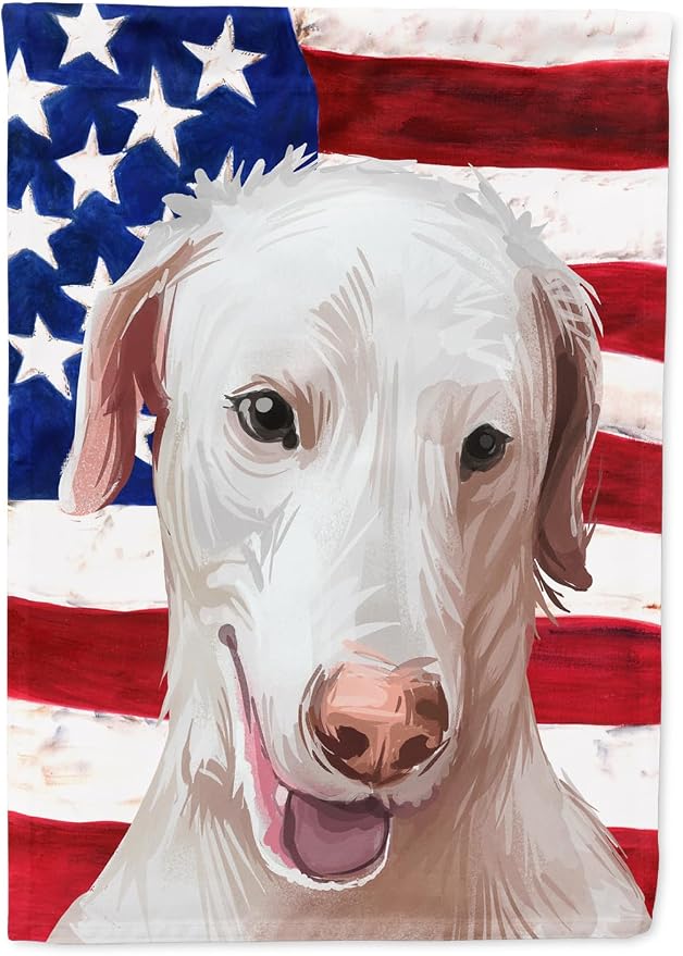 Caroline's Treasures CK6671GF Rajapalayam Poligar hound American Flag Garden Flag Mailbox Flag Decorative Yard Flag Banner Outside Patio Artwork Yard Flower Beds, Garden Size, Multicolor