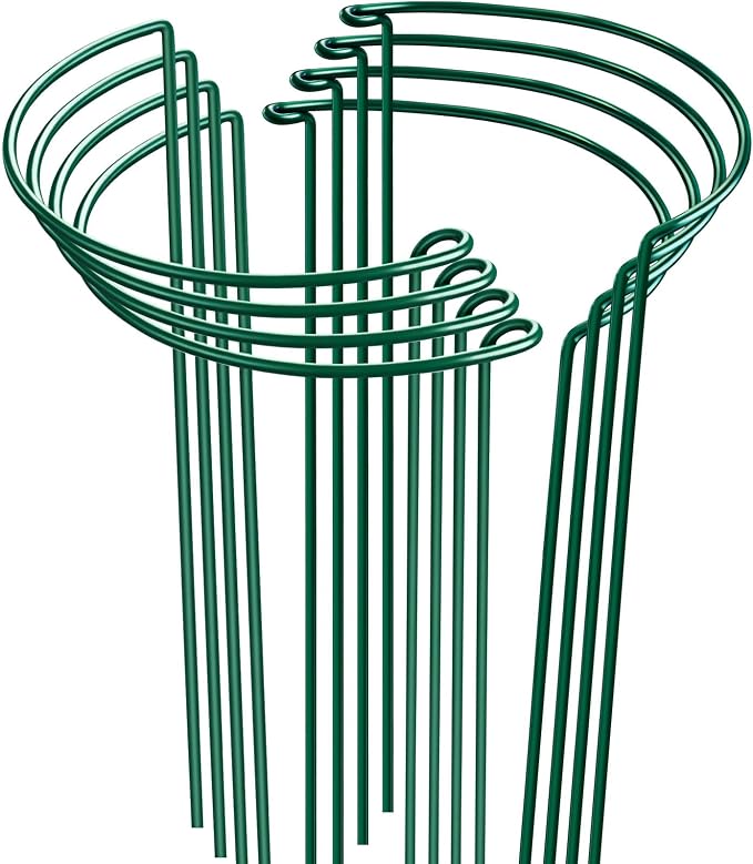 HiGift Peony Cages and Supports 24" H x 10" W, 8 Pack Tall Snake Plant Support Stake Half Round Metal Garden Stake for Indoor and Outdoor Plants, Flower Support Ring Border for Tomato,Hydrangea,Rose