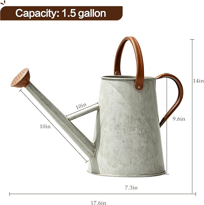 Metal Watering Can with Stainless Steel Handle for Outdoor and Indoor Plants, Watering Can Decor, 1.5 Gallon (Zinc 1)