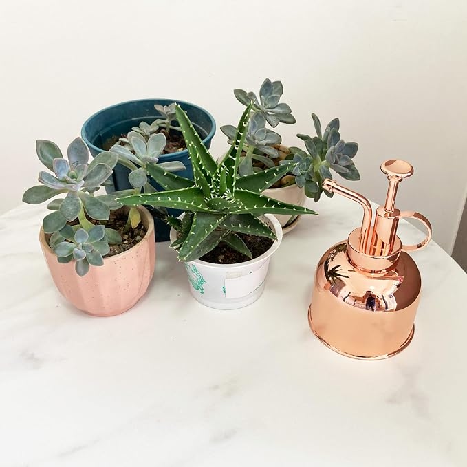 Plant Mister Spray Bottle Stainless Steel Plant Sprayer, Small Watering can Plant Spray Bottle Modern Gardening Tools for Indoor Potted Plants Watering and Spraying