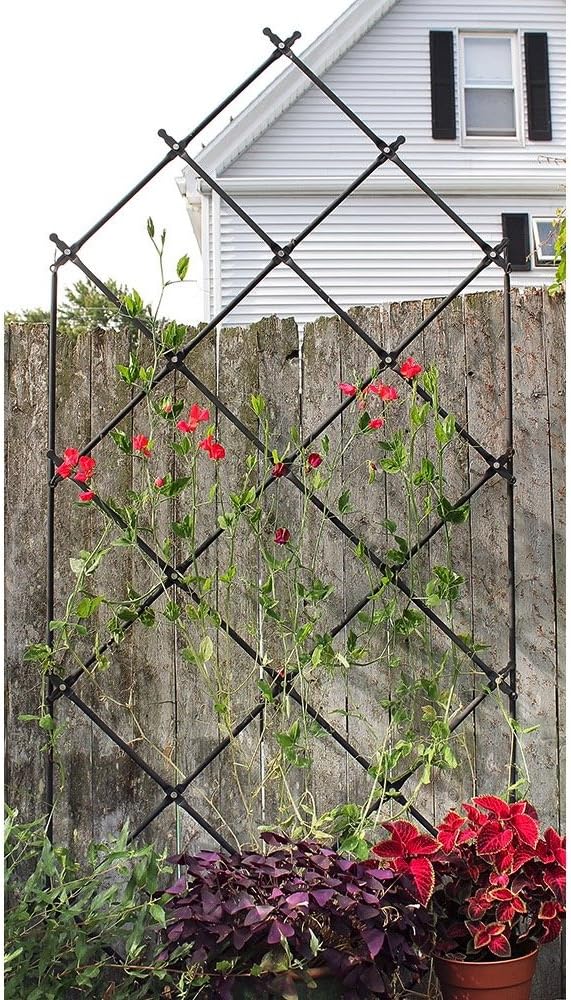 Achla Designs Freestanding Lattice Garden Trellis