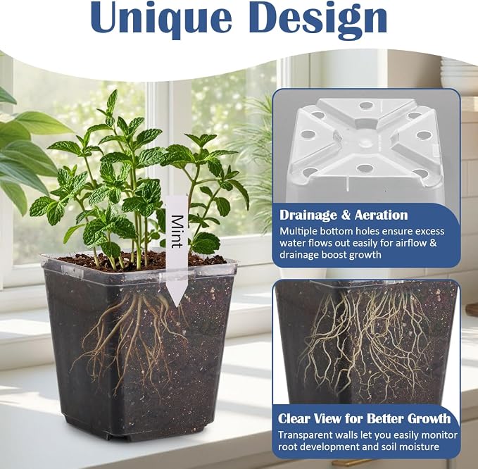 RooTrimmer 5.5 Inch Clear Square Nursery Pots with Drainage & Labels, 30Pcs Reusable Seed Starter Pots for Vegetables, Indoor Outdoor Gardening, Thick Transparent Plastic Plant Pots for Seed Starting