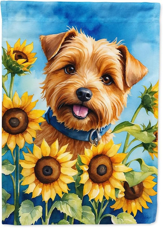 Caroline's Treasures DAC6125CHF Norfolk Terrier in Sunflowers House Flag Large Porch Sleeve Pole Decorative Outside Yard Banner Artwork Wall Hanging, Polyester, House Size, Multicolor