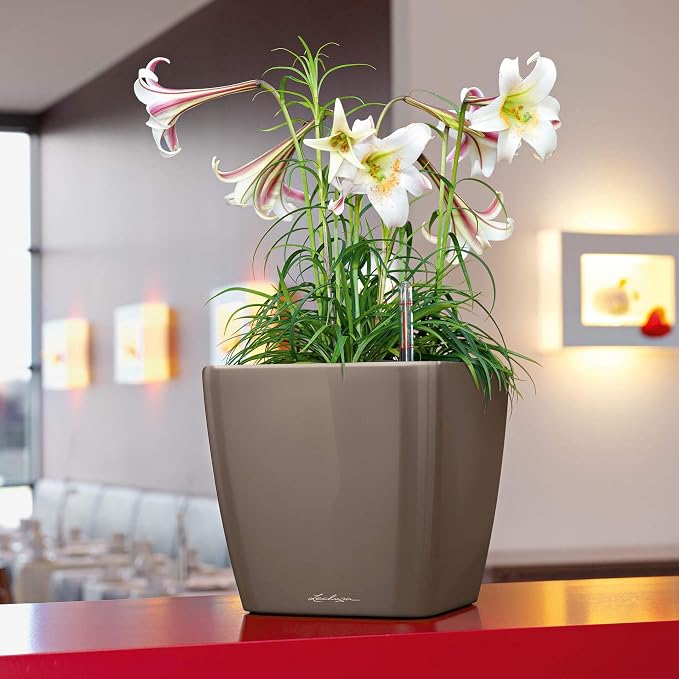 Lechuza Quadro LS 35 Scarlet Red High Gloss, Self-Watering Square Planter, H13 L13.8 W13.8 in