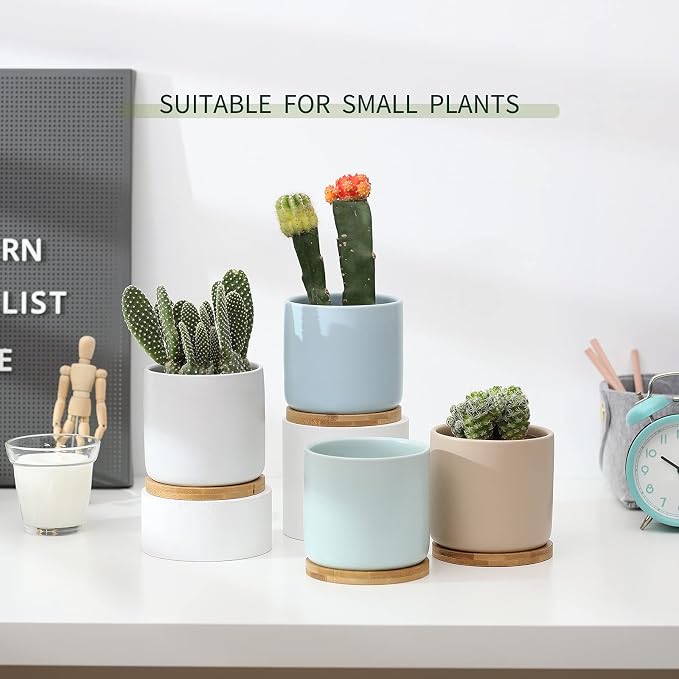 Succulent Pots, 4 Inch Ceramic Planter Plant Pot with Tray, Drainage Hole & Mesh Pad for Indoor Flowers, Cactus, Herbs, Aloes - Cool Multicolor, Set of 4 (Plant Not Included) | Cool Multicolor, for Indoor Flowers, Cactus, Herbs, Aloes, Set of 4,Plant N...