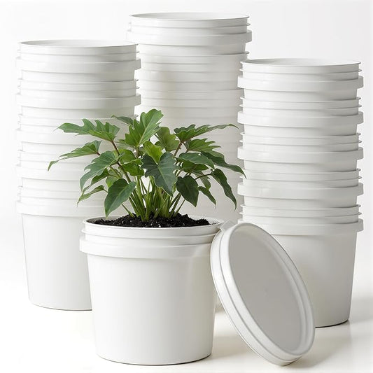 20 Pack 1/4 Gallon Plastic Bucket with Lid, 1 Quart Paint Cans with Lid Paint Containers White Plastic Painting Water Pail for Storage Container Home Household Cleaning