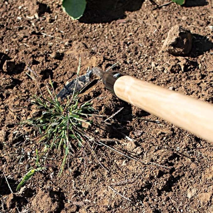 A.M. Leonard Cape Cod Weeders (60-Inch Hardwood Handle)