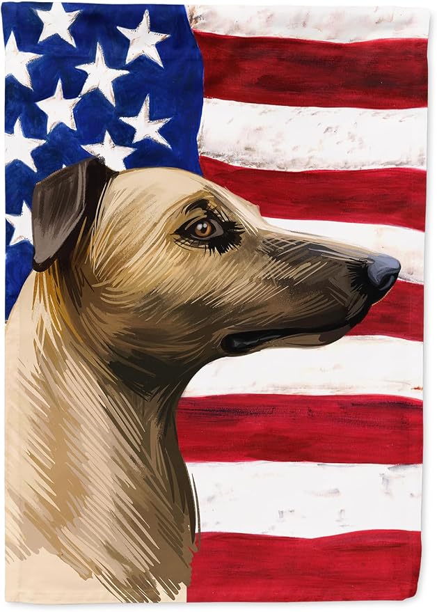 Caroline's Treasures CK6609CHF Magyar agar American Flag House Flag Large Porch Sleeve Pole Decorative Outside Yard Banner Artwork Wall Hanging, Polyester, House Size, Multicolor