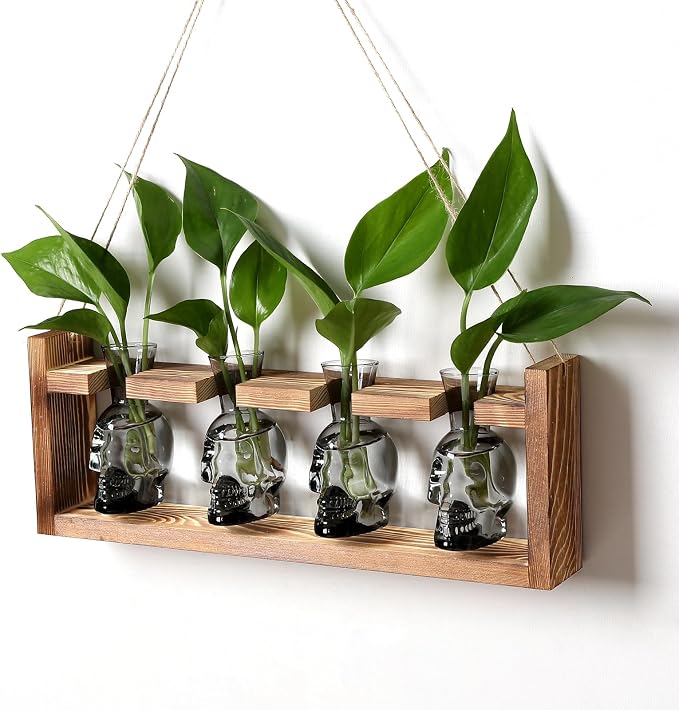 Plant Propagation Stations Halloween Skull Plant Terrarium Kit | Glass Vases Gift for Father Air Planter Home Office Decor