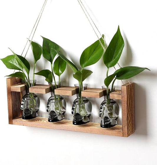 Plant Propagation Stations Halloween Skull Plant Terrarium Kit | Glass Vases Gift for Father Air Planter Home Office Decor