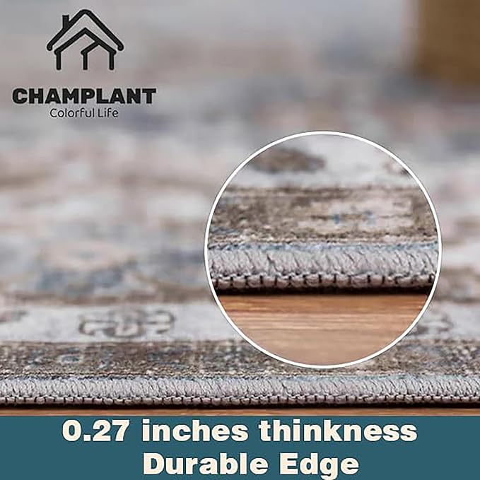 CHAMPLANT Area Rug 5'x7' Light Cyan and Light red Washable Rug Vintage Traditional Floor Cover Thin Retro Kitchen Indoor Distressed Non Slip Carpet for Living Room Bedroom Dining Room