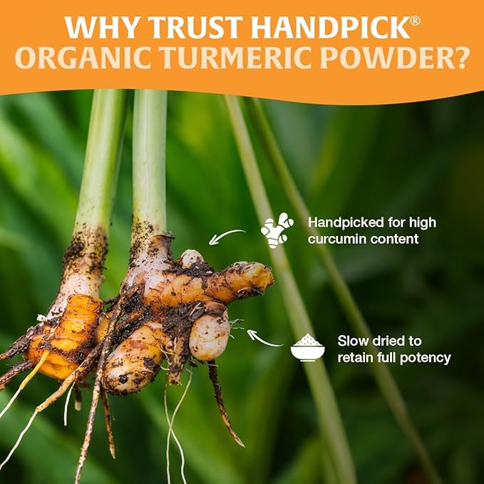 HANDPICK Organic Turmeric Powder with Curcumin (397g/14oz) | Authentic Indian Origin | Gluten Free | Made from Turmeric Root (Packaging may vary)