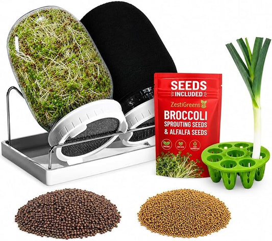 Sprouting Jar Kit - 2 Mason Jars with Broccoli & Alfalfa Seeds | Includes Green onion regrower, sprout lids, drain tray and Premium USA seeds