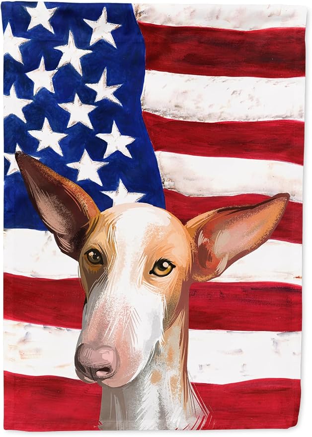 Caroline's Treasures CK6648CHF Podenco Canario Dog American Flag House Flag Large Porch Sleeve Pole Decorative Outside Yard Banner Artwork Wall Hanging, Polyester, House Size, Multicolor