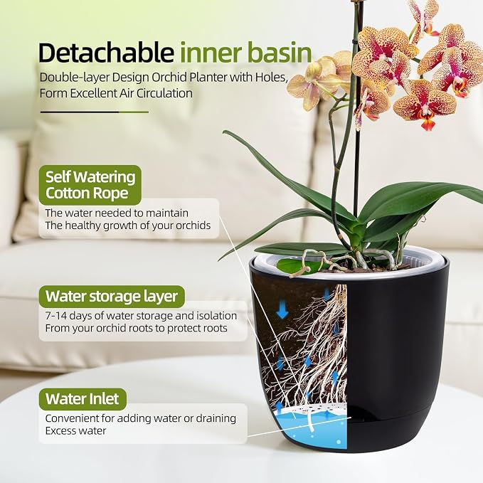 QCQHDU 5.7Inch Orchid Pots with Holes for Repotting, Double-Layer Plastic Self Watering Flower Pots for Indoor Plants with Drainage Holes, Clear Orchid Pot Match Decorative Orchid Container, 3 Packs