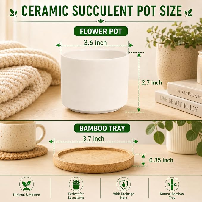 ZOUTOG 12 Pack Ceramic Succulent Pots,3.6 Inch Plant Pots,Succulent Planters with Drainage Hole & Bamboo Tray for Indoor Plants,White Small Flower Planters for Home,Office,Desk
