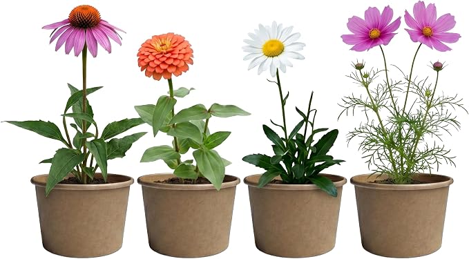 Buzzy Seeds Save the Bees Grow Kit 12-Pack - Eco-Friendly Pots - Complete Indoor/Outdoor Gardening Kit with Seeds, Coconut Husk Growing Medium & Plantable Pots - 100% Grow Guarantee