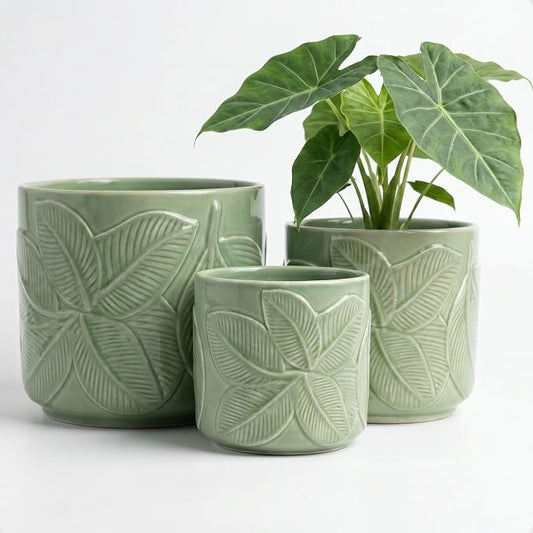 Ceramic Pots for Plants Set of 3 Sizes - 6, 5, 4 Inch Diameter Plant Pots with Drainage Holes - Ceramic Planters for Indoor Plants - Decorative Flower Pot - Plant Pot with Drainage - Indoor Planter