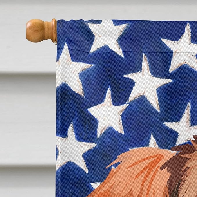 Caroline's Treasures CK6652CHF Polish Hound Dog American Flag House Flag Large Porch Sleeve Pole Decorative Outside Yard Banner Artwork Wall Hanging, Polyester, House Size, Multicolor