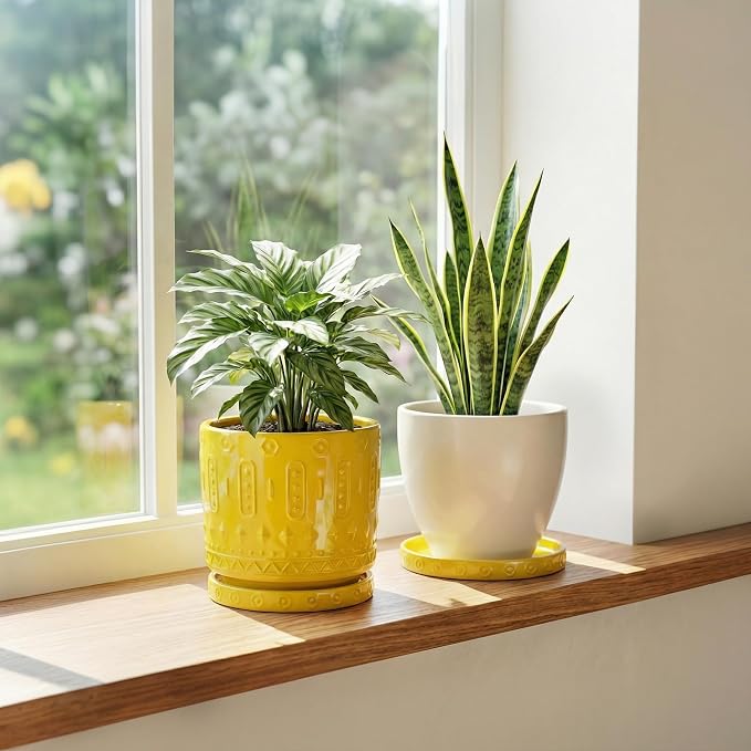 Eightpot Plant Trays for Pots, 2 Pack Ceramic Plant Saucers for Indoors Outdoors, 5.6 Inch Plant Plates to Catch Water, Boho Plants Drainage Tray, Decorative Plants Dishes to Catch Water, Yellow