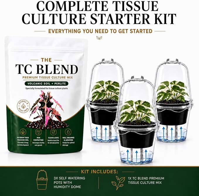 Tissue Culture Starter Kit, Self Watering Pots for Indoor Plants, TC Soil Kit with Volcanic Soil & Perlite, Clear Plant Pots with Drainage, TC Acclimation Kit, Potting Mix for Tissue Culture Plants