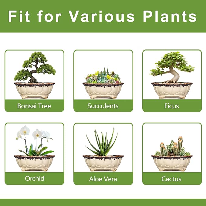Ceramic Bonsai Pots - 13.2 Inch Succulent Planters for Indoor Plants Outdoor, Bonsai Tree Pots with Drainage Hole, Decorative Shallow Planter, Room Decor, Gifts for Men Women, Oval Beige-Brown