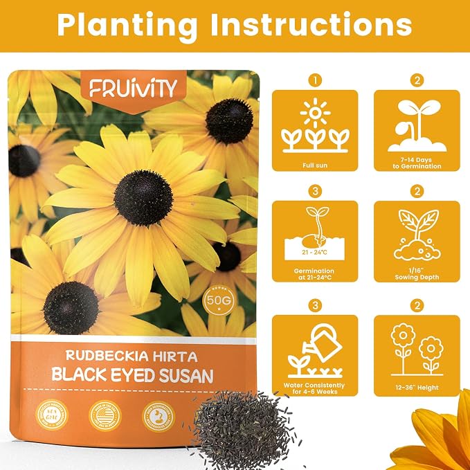 120,000+ Black Eyed Susan Seeds for Planting, Perennial Wildflower Seeds for Pollinator Gardens, Heirloom Flower Seeds to Plant Outside & Inside, Borders, Containers, Rudbeckia hirta
