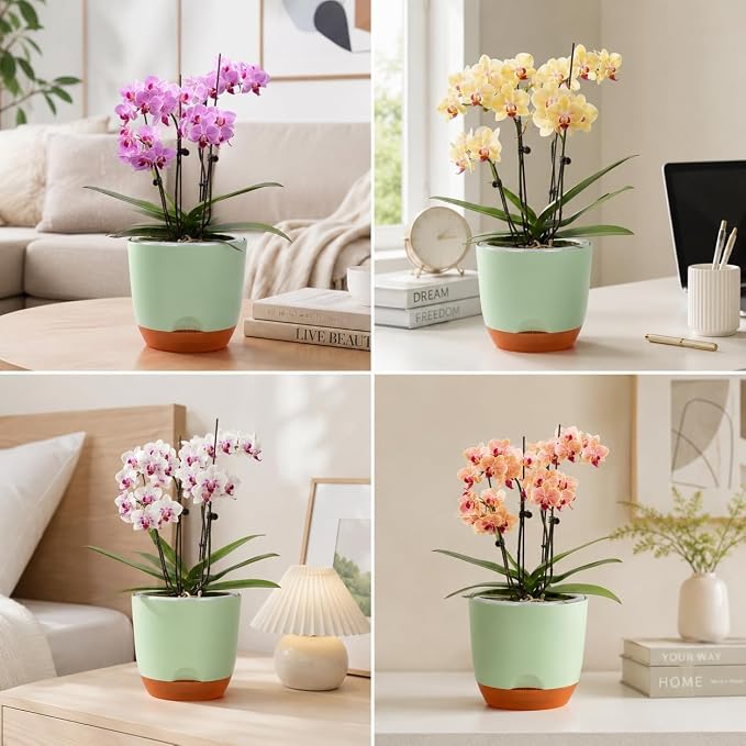 QCQHDU 5.7Inch Orchid Pots with Holes for Repotting, Double-Layer Plastic Self Watering Flower Pots for Indoor Plants with Drainage Holes, Clear Orchid Pot Match Decorative Orchid Container, 5 Packs