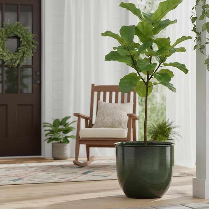 Bloem Canyon 14" Indoor Metal Cachepot - Glossy Decorative Planter with Powder-Coated Finish, Removable Drain Plug, Basil