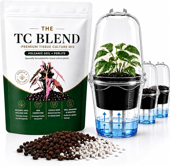 Tissue Culture Starter Kit, Self Watering Pots for Indoor Plants, TC Soil Kit with Volcanic Soil & Perlite, Clear Plant Pots with Drainage, TC Acclimation Kit, Potting Mix for Tissue Culture Plants