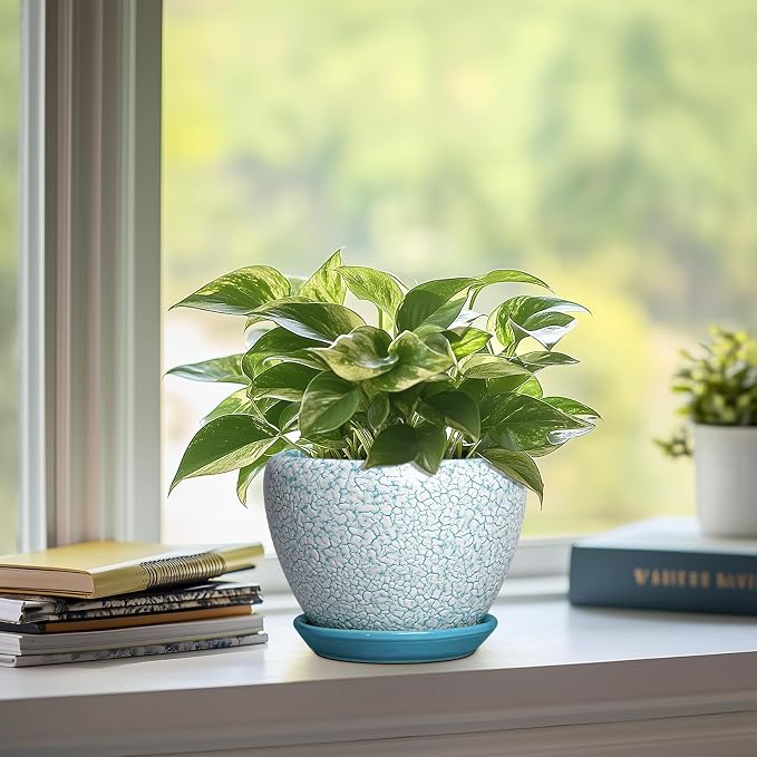 Ceramic Plant Pot, 6 Inch, Crackle Blue | Indoor Planters for Succulent Plants, Round Decorative Flower Pot, Drainage Hole and Saucer, Room Decor, Gifts for Gardeners