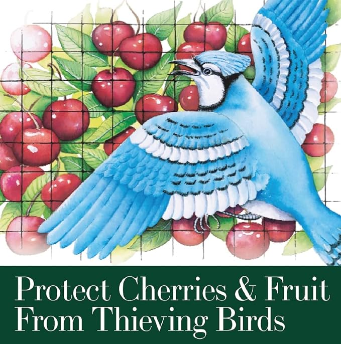 Dalen Bird-X Protective Mesh Netting for Fruit Trees, Berries, Vegetables - 28 ft x 28 ft, Black Garden Netting, 5/8-inch Mesh - Helps Deter Birds & Garden Pests, Made of Weather-Resistant Plastic