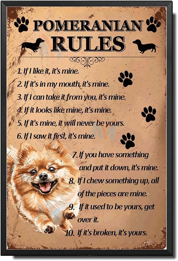 Metal Sign Tin Sign Vintage Wall Art Pomeranian Rules Wall Art for Club 8×12 Inches with Metal Frame