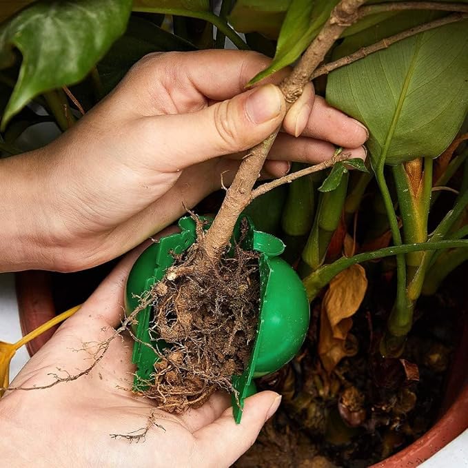 10PCS Propagation Stations Air Layering Pods, Plant Propagation Buddy Reusable Rapid Take Root Plugs Air Layering Propagation Kit Grafting Tool Box Plant Propagation Ball Root Starter