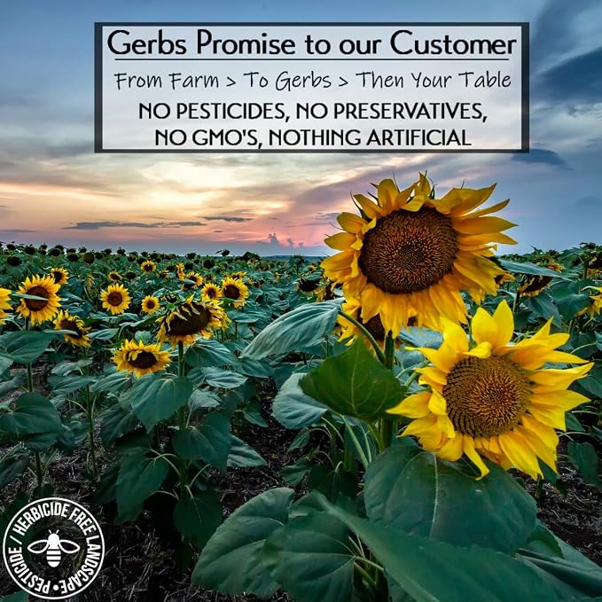 Gerbs Jumbo Lightly Sea Salted Whole Sunflower Seeds 14 oz. | Small Batch, No Artificial Additives, Resealable Bag | Crack-and-Eat Crunchy Snack | Top 14 Allergen-Free