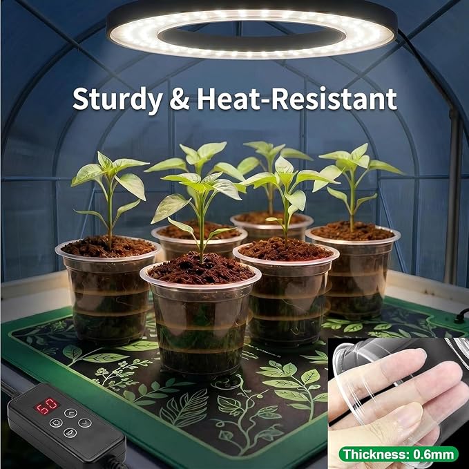Amasiver 6 Inch Clear Nursery Pots for Plants,Transparent Plant Pots with Drainage Holes & Saucers,Seed Starter Pots with 15 Plant Labels,Clear Plastic Flower Pots for Indoor Outdoor