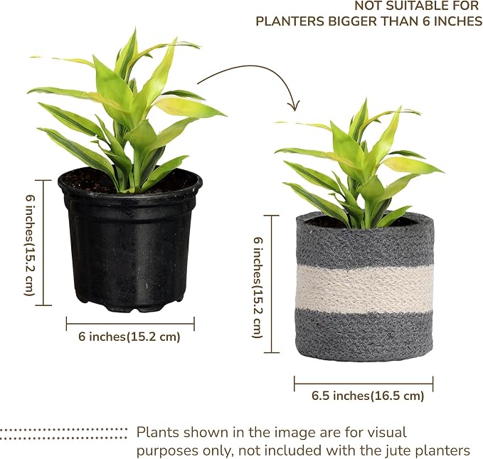 Jute Planter Basket-Woven Jute Rope Covers for Decorating Indoor/Outdoor Succulents, Small Plant Pots-Set of 2-Multi-Purpose Storage Bins 6.5 Inches - Modern Style Décor - Gray & White