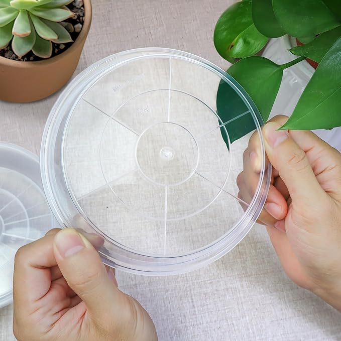 FUIJOL 6 Pack Clear Plant Saucer, Durable Plant Drip Trays Saucers for Pots, No Holes Water Catcher Trays for Indoor Outdoor Planter, Sturdy Base Plate (Clear, 3"-6Pack)