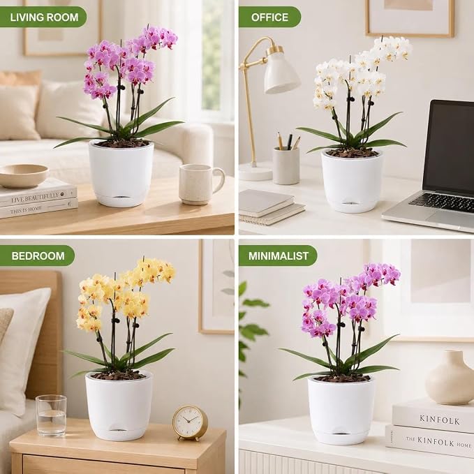 5.7Inch White Orchid Pots with Holes for Repotting, Double-Layer Plastic Self Watering Flower Pots for Indoor Plants with Drainage Holes, Clear Orchid Pot Match Decorative Orchid Container, 5 Packs