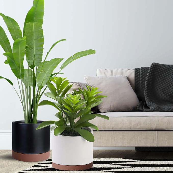 Yukfona Ceramic Plant Saucer Tray 2 Pcs 8 Inch Brown, 8.5" OD x8.15 ID x1 Deep| Fits Flower pots Bottom≤ 8.15", Heavy Duty Glazed Round Planter Drip with Catch Basin for Indoor Outdoor Plants