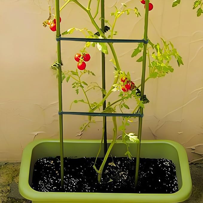 Jiozermi 60 Pcs Stake Arms for Tomato Cage, Plastic Tomato Cage Connectors 11.8" Expandable Trellis Connectors for Tomatoes Stakes Climbing Plants Vegetables Tomato Cage Attach 11mm Diameter