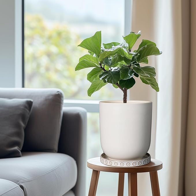 Eightpot Plant Tray for Pots - Ceramic Plant Saucer for Indoors Outdoors 7.5 Inch Plant Water Catcher Tray Plant Drainage Dray Decorative Flower Pot Saucer Plant Plates to Catch Water, Cream White