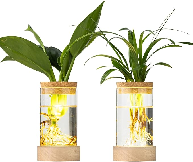 Glass Plant Propagation Stations, Propagation Vases for Plants with Ambient Light Base, Hydroponic Vase for Home & Office Windowsill Tabletop Decoration Desktop Vases for Living Room, Bedroom (2)