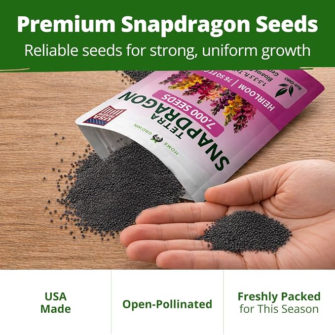 HOME GROWN Snapdragon ‘Tetra’ 7000 Seeds 1.1g Snapdragon Seeds Perennial Tall Flower Seeds to Plant Outside – Vibrant Mixed Colors, Cottage Gardens & Seasonal Bedding Displays (Antirrhinum majus)